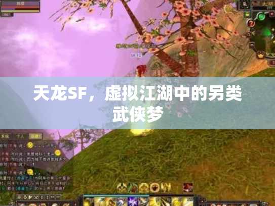 天龙SF，虚拟江湖中的另类武侠梦