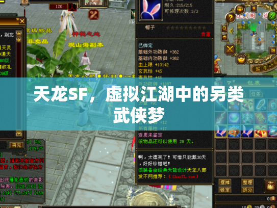 天龙SF，虚拟江湖中的另类武侠梦