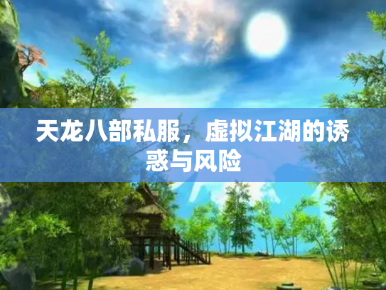 天龙八部私服，虚拟江湖的诱惑与风险