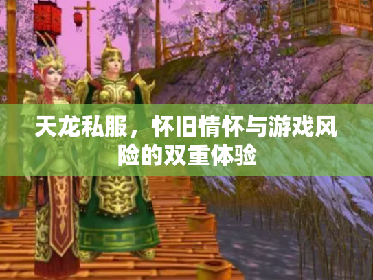 天龙私服，怀旧情怀与游戏风险的双重体验