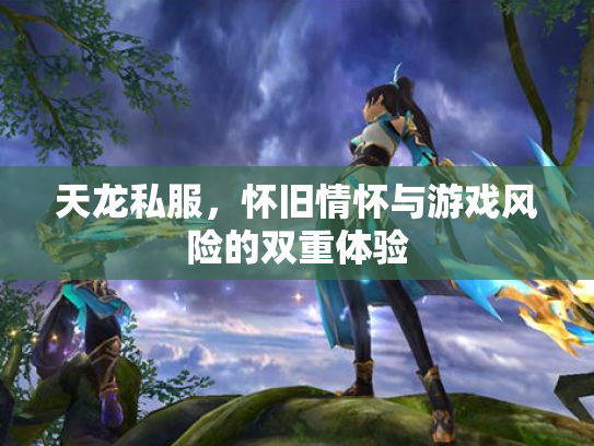 天龙私服，怀旧情怀与游戏风险的双重体验