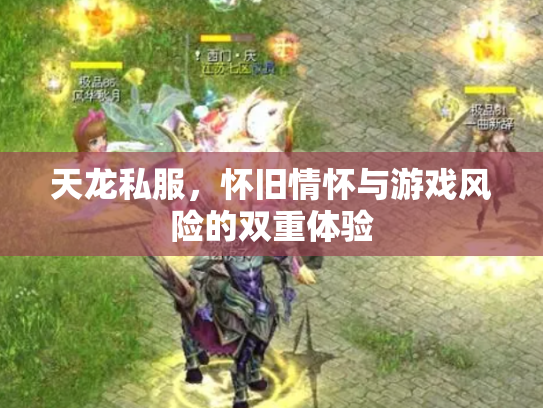天龙私服，怀旧情怀与游戏风险的双重体验