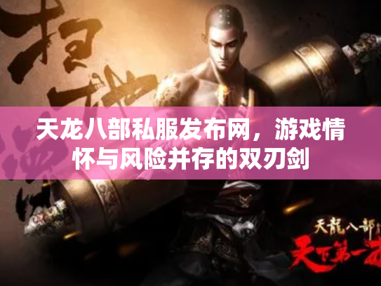 天龙八部私服发布网，游戏情怀与风险并存的双刃剑