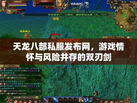 天龙八部私服发布网，游戏情怀与风险并存的双刃剑