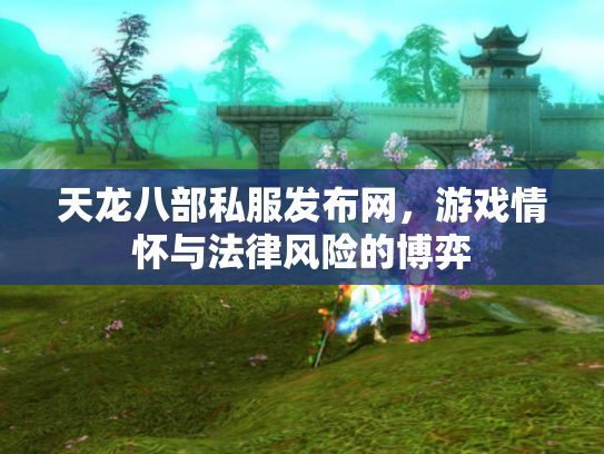 天龙八部私服发布网，游戏情怀与法律风险的博弈