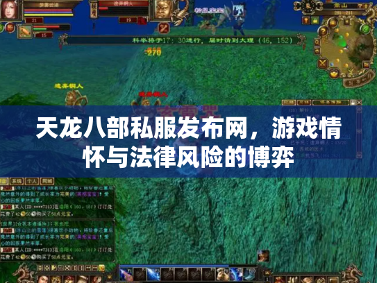 天龙八部私服发布网，游戏情怀与法律风险的博弈