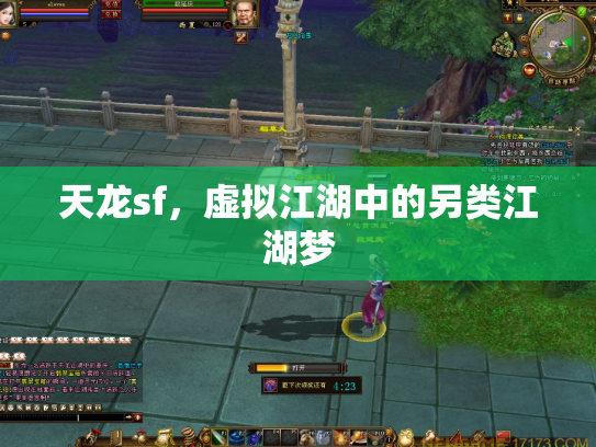 天龙sf，虚拟江湖中的另类江湖梦