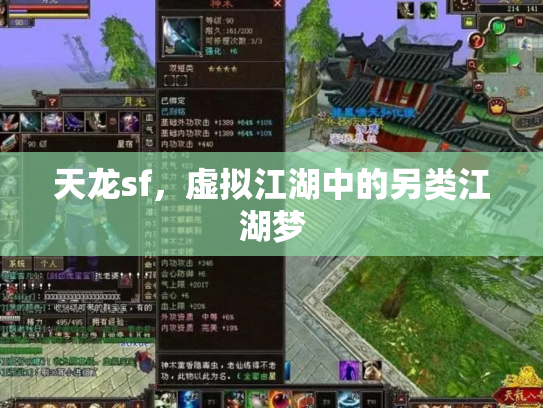 天龙sf，虚拟江湖中的另类江湖梦
