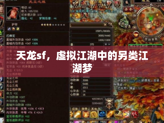 天龙sf，虚拟江湖中的另类江湖梦