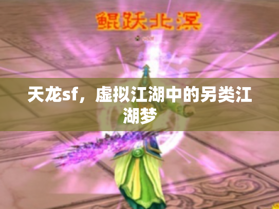 天龙sf，虚拟江湖中的另类江湖梦