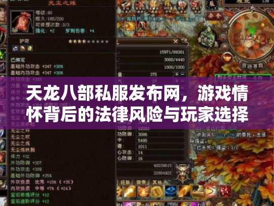 天龙八部私服发布网，游戏情怀背后的法律风险与玩家选择