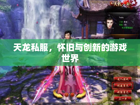天龙私服，怀旧与创新的游戏世界