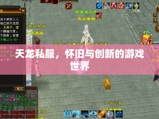 天龙私服，怀旧与创新的游戏世界