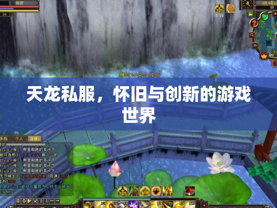 天龙私服，怀旧与创新的游戏世界