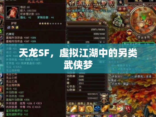 天龙SF，虚拟江湖中的另类武侠梦