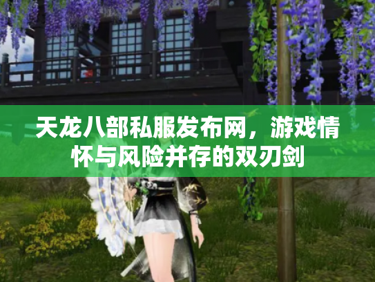 天龙八部私服发布网，游戏情怀与风险并存的双刃剑