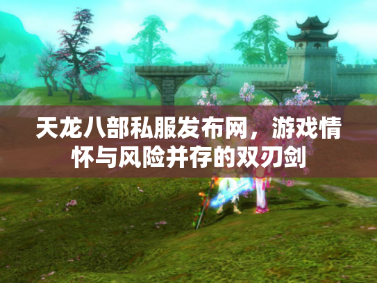 天龙八部私服发布网，游戏情怀与风险并存的双刃剑
