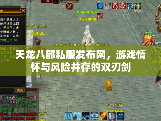 天龙八部私服发布网，游戏情怀与风险并存的双刃剑