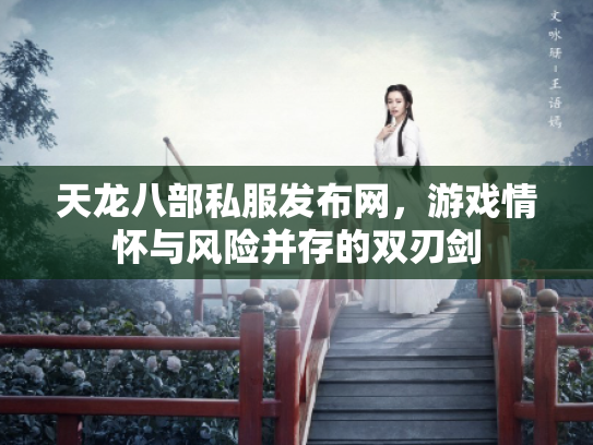 天龙八部私服发布网，游戏情怀与风险并存的双刃剑