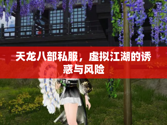 天龙八部私服，虚拟江湖的诱惑与风险