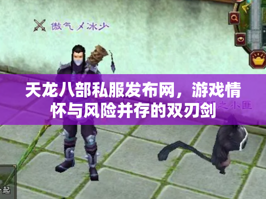 天龙八部私服发布网，游戏情怀与风险并存的双刃剑
