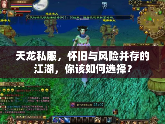 天龙私服，怀旧与风险并存的江湖，你该如何选择？