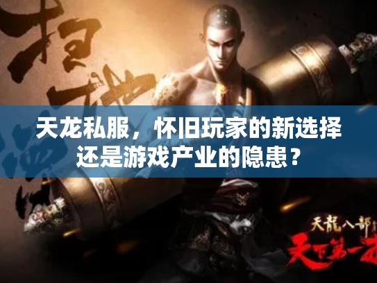 天龙私服，怀旧玩家的新选择还是游戏产业的隐患？