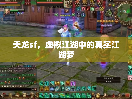天龙sf，虚拟江湖中的真实江湖梦