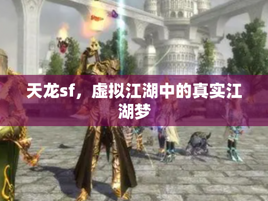 天龙sf，虚拟江湖中的真实江湖梦