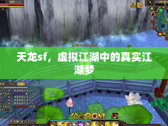 天龙sf，虚拟江湖中的真实江湖梦