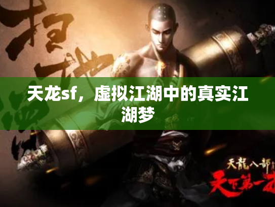 天龙sf，虚拟江湖中的真实江湖梦
