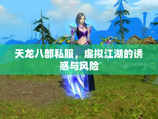 天龙八部私服，虚拟江湖的诱惑与风险