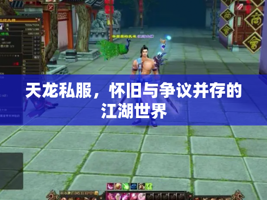 天龙私服，怀旧与争议并存的江湖世界