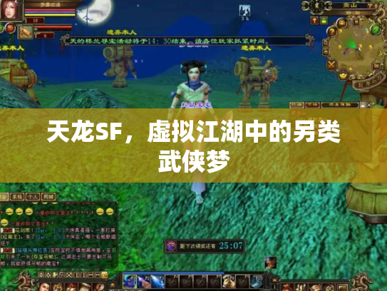 天龙SF，虚拟江湖中的另类武侠梦