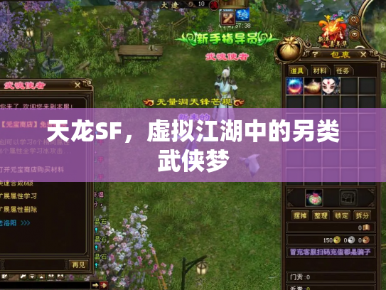 天龙SF，虚拟江湖中的另类武侠梦