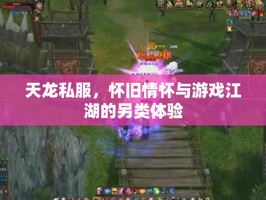 天龙私服，怀旧情怀与游戏江湖的另类体验