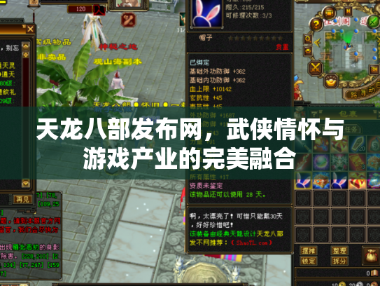 天龙八部发布网，武侠情怀与游戏产业的完美融合