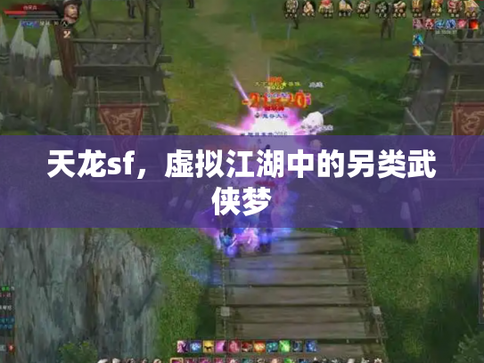 天龙sf，虚拟江湖中的另类武侠梦