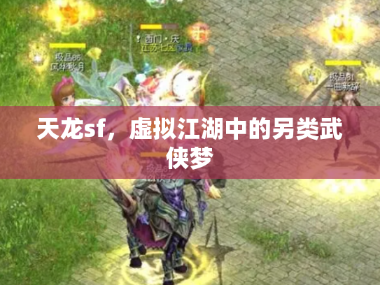 天龙sf，虚拟江湖中的另类武侠梦