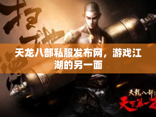 天龙八部私服发布网，游戏江湖的另一面
