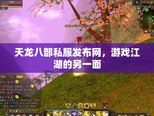 天龙八部私服发布网，游戏江湖的另一面