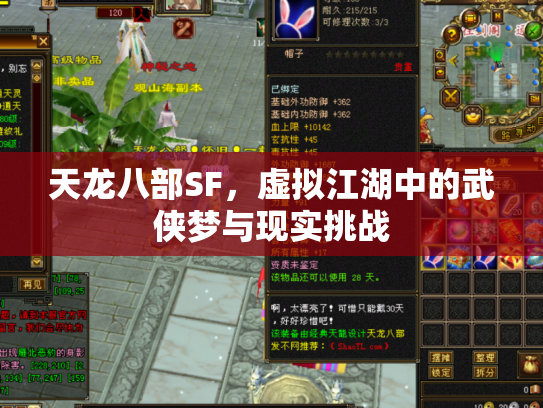 天龙八部SF，虚拟江湖中的武侠梦与现实挑战