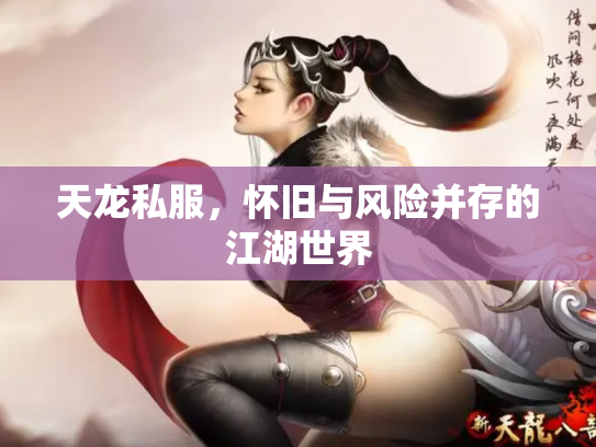 天龙私服，怀旧与风险并存的江湖世界