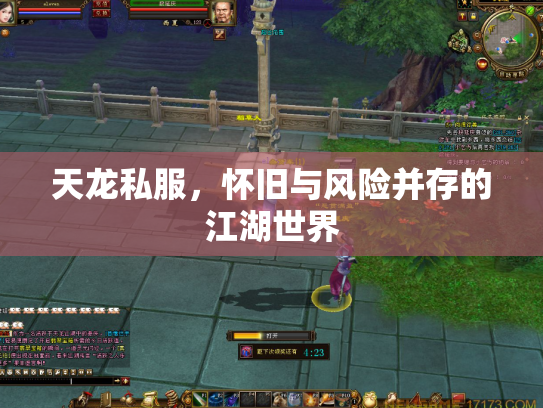 天龙私服，怀旧与风险并存的江湖世界