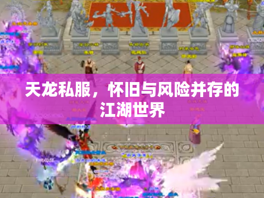 天龙私服，怀旧与风险并存的江湖世界