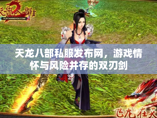 天龙八部私服发布网，游戏情怀与风险并存的双刃剑