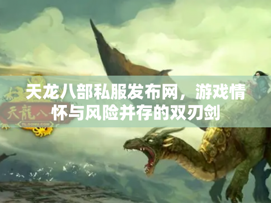 天龙八部私服发布网，游戏情怀与风险并存的双刃剑