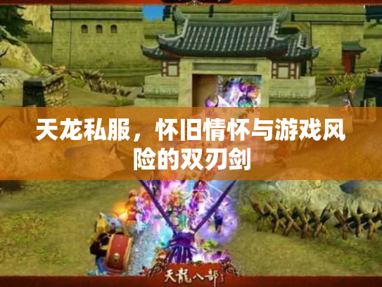 天龙私服，怀旧情怀与游戏风险的双刃剑