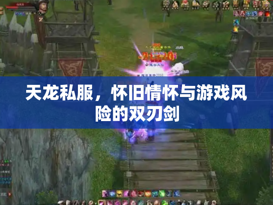 天龙私服，怀旧情怀与游戏风险的双刃剑