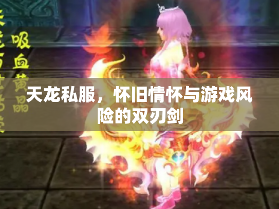 天龙私服，怀旧情怀与游戏风险的双刃剑